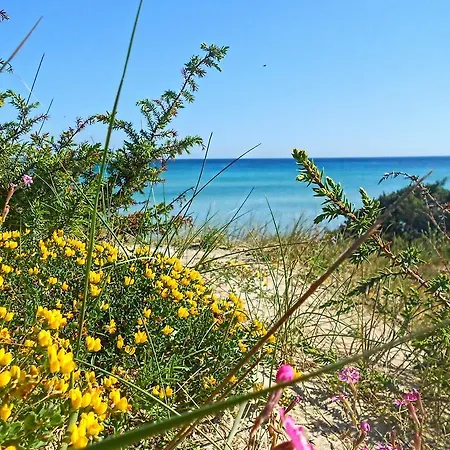 Club Ravezzo Lido Marini