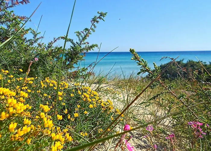 Club Ravezzo Lido Marini